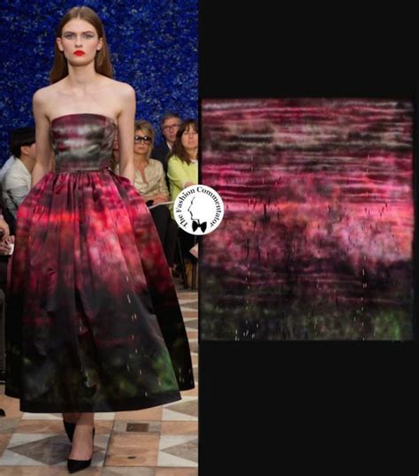 sterling ruby dior dress|christian dior fall 2012 dress.